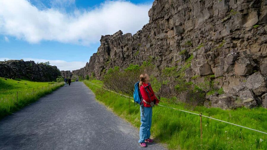 Reykjavik: Small Group Golden Circle from Cruise Terminal - What the minibus is really like