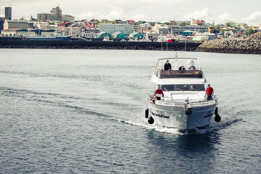 Reykjavik: Whale Watching and Dolphin Watching Yacht Cruise - Quick facts that matter before you book