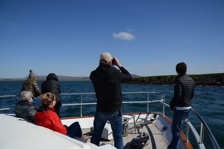 Reykjavik: Whale Watching and Dolphin Watching Yacht Cruise - The best time of year for this cruise