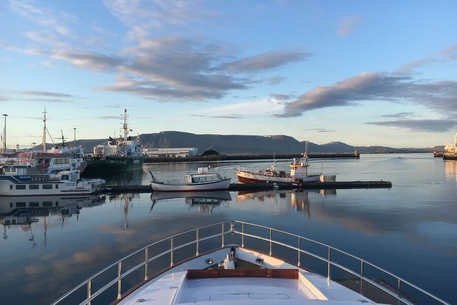 Reykjavik: Whale Watching and Dolphin Watching Yacht Cruise - The first stretch across Faxafloi Bay