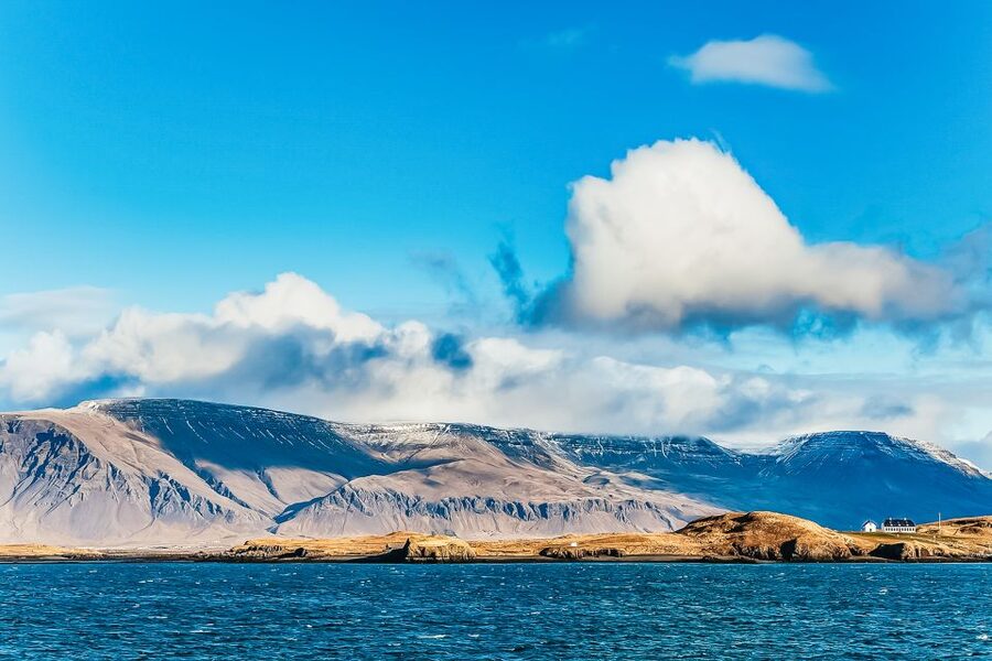 Reykjavík: Whale Watching and Marine Life Cruise - Key points to know before booking