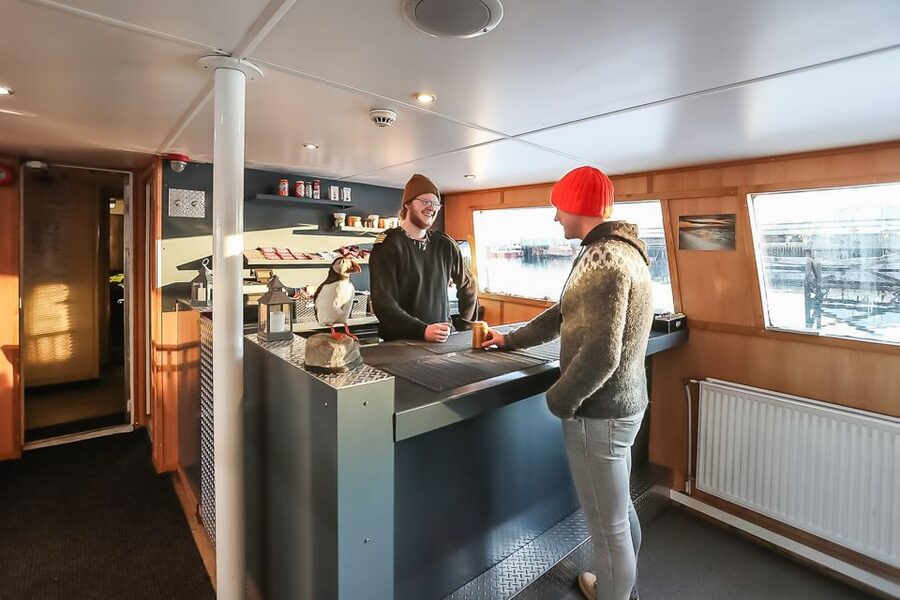 Reykjavík: Whale Watching and Marine Life Cruise - Responsible whale watching from a respectful distance