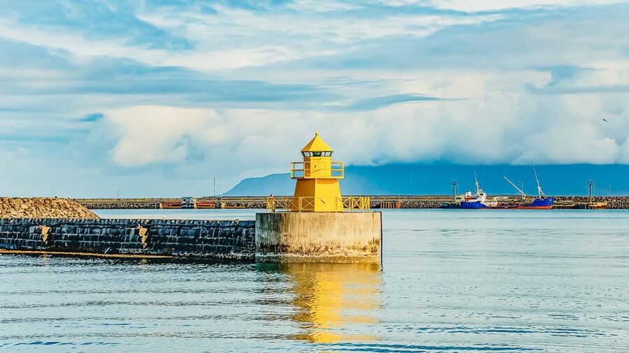 Reykjavík: Whale Watching and Marine Life Cruise - Staying warm on the open water