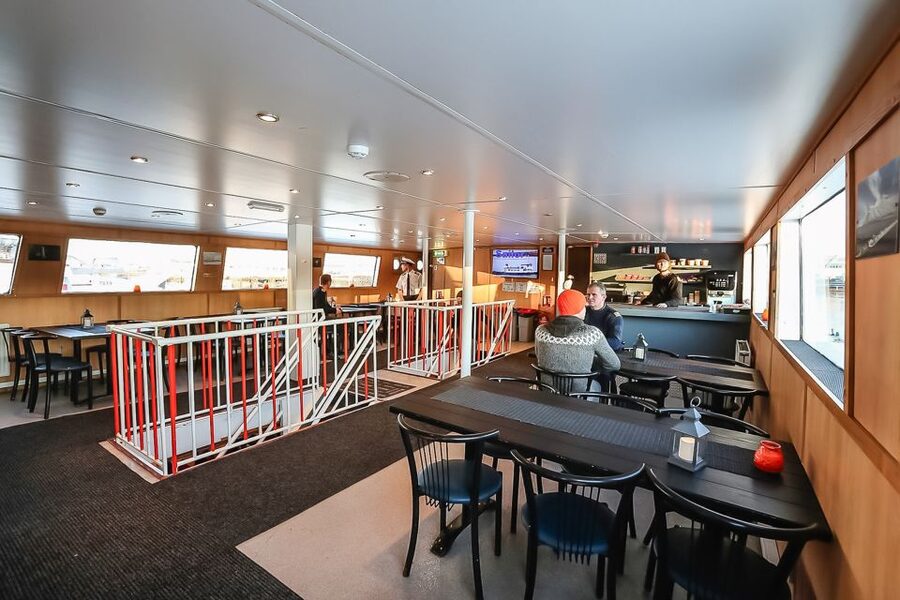 Reykjavík: Whale Watching and Marine Life Cruise - What the $87 price really buys you