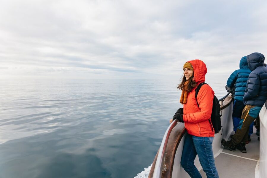Reykjavík: Whale Watching Cruise on the Amelia Rose Yacht - Families, couples, and solo visitors