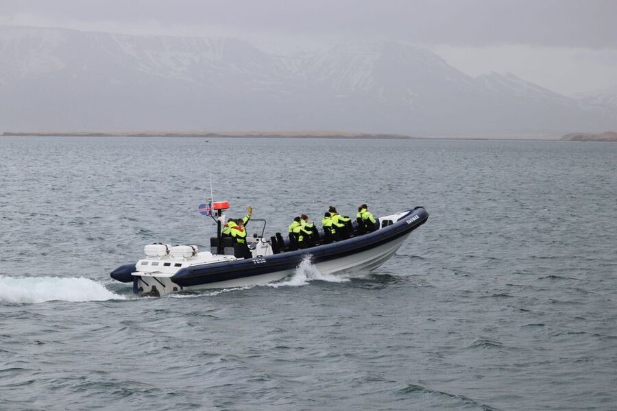 Reykjavik: Whale Watching Tour by RIB Boat - Planning Around Weather and Timing