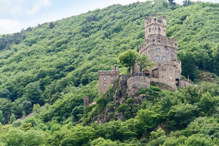 Rhine Valley Castles: 1.5-Hour Boat Tour from Rüdesheim - Is $19 a good value?