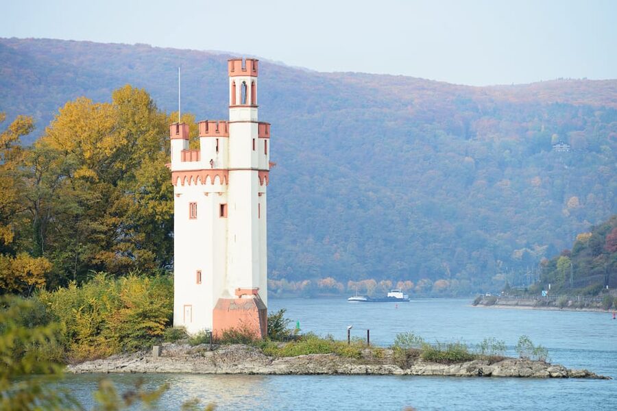 Rhine Valley Castles: 1.5-Hour Boat Tour from Rüdesheim - Bingen, Klopp Castle, and the return journey