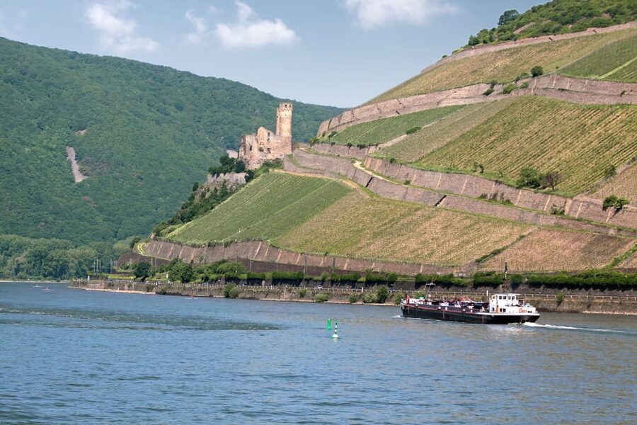 Rhine Valley Castles: 1.5-Hour Boat Tour from Rüdesheim - Assmannhausen’s vineyards and the wine-country view