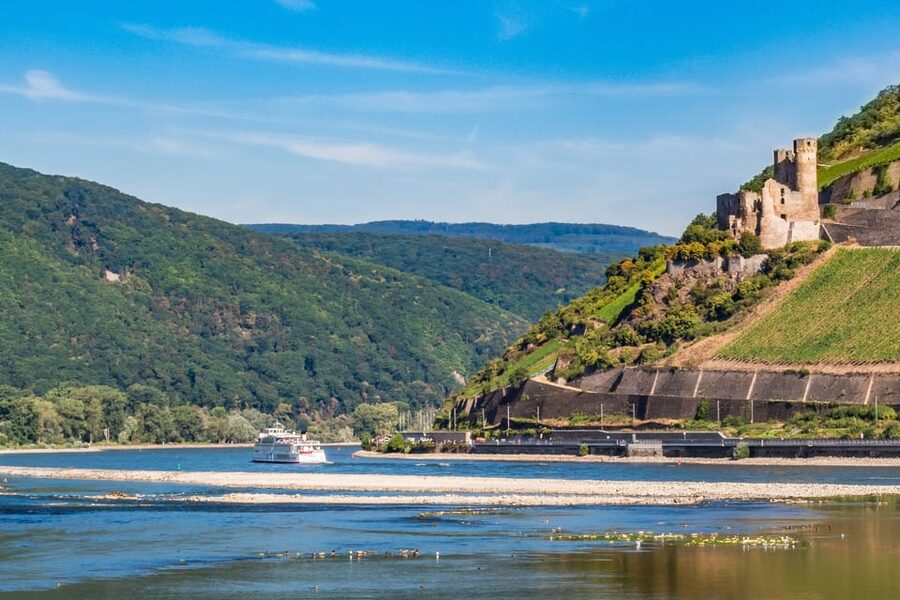 Rhine Valley Castles: 1.5-Hour Boat Tour from Rüdesheim - The Niederwald Monument and the Rhine Romantic mood