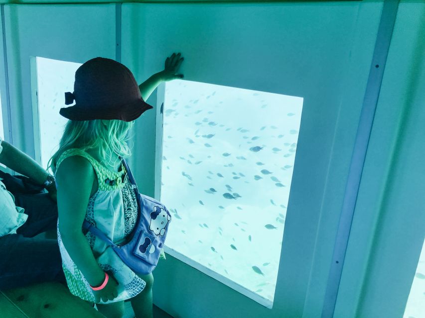 Rhodes Town: Submarine Cruise with Underwater Views - The 20-minute underwater viewing section