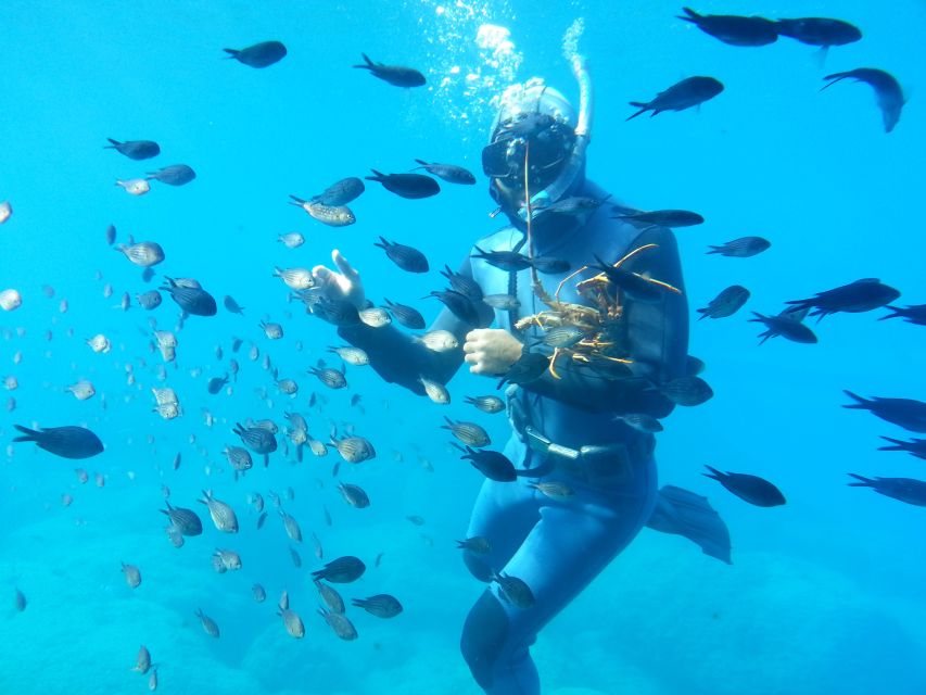 Rhodes Town: Yellow Submarine Cruise with Underwater Views - Finding the Yellow Submarine near Rhodes Courthouse