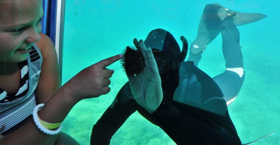 Rhodes Town: Yellow Submarine Cruise with Underwater Views - Seeing the Palace of the Grand Master from the sea