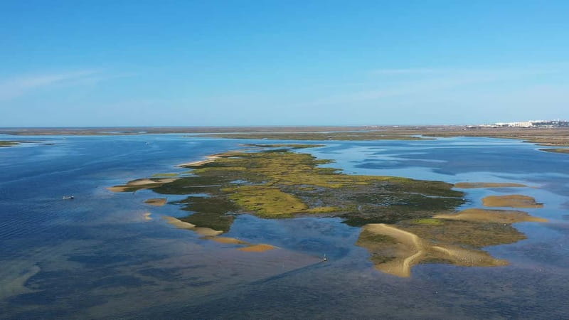 Ria Formosa: Armona and Culatra Islands 3-Hour Boat Tour - Key points at a glance