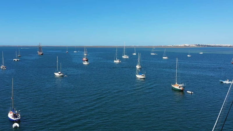 Ria Formosa: Armona and Culatra Islands 3-Hour Boat Tour - Culatra Island: a working community without cars