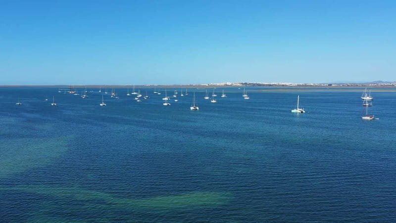 Ria Formosa: Armona and Culatra Islands 3-Hour Boat Tour - The guides make a real difference