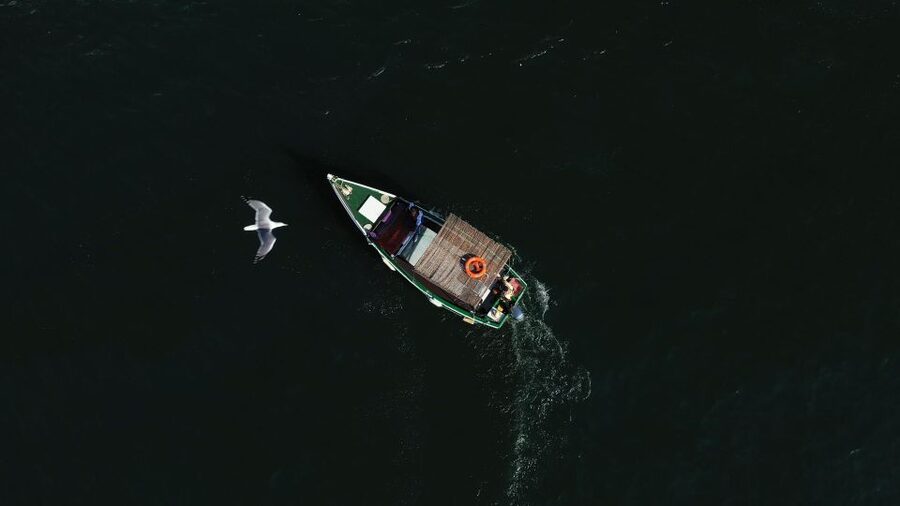 Ria Formosa: Armona and Culatra Islands 3-Hour Boat Tour - What to bring and how to use the stops