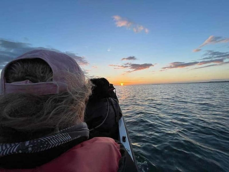 Ria Formosa: Armona and Culatra Islands 3-Hour Boat Tour - Who will enjoy this boat trip most?