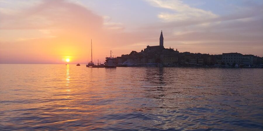 Rovinj: Sunset Boat Trip with Dolphin Watching - Looking for dolphins in open water