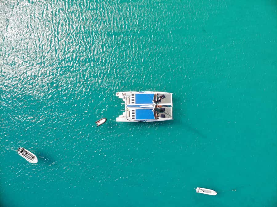 Sal: All-Inclusive Half-Day Lounge Catamaran Cruise - Key points to know before you book