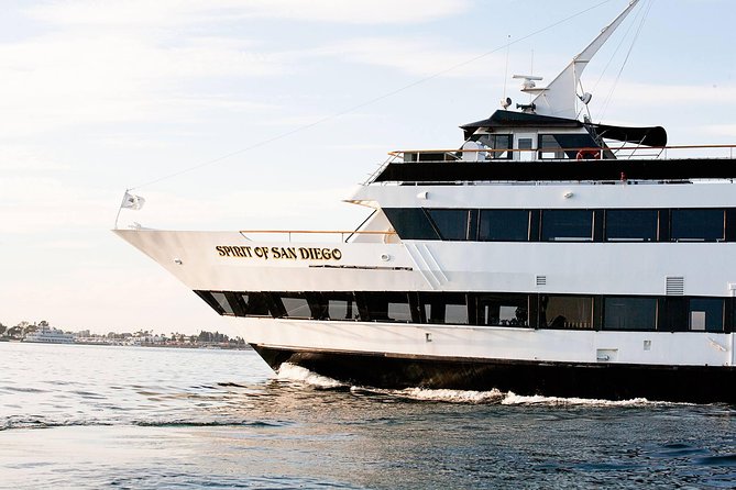 San Diego Harbor Cruise - Wildlife and photo opportunities along the bay