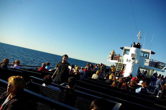 San Diego Whale Watching Cruise - A smooth ride, with a few seating trade-offs