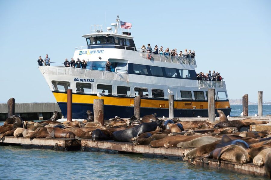 San Francisco: Inside Alcatraz Tour with Bay Cruise - The one-hour San Francisco Bay Cruise