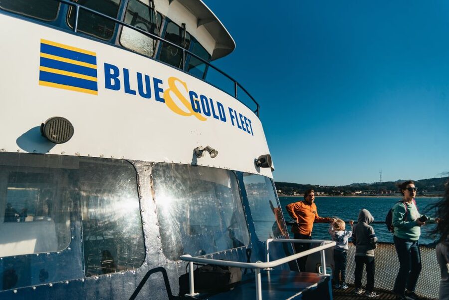 San Francisco: Skip-the-Line 1-Hour Bay Cruise by Boat - Starting at Pier 39, with sea lions nearby