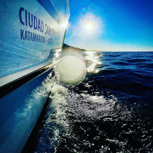 San Sebastian: Sustainable Catamaran Cruise with Audio Guide - La Concha Bay: San Sebastián’s great natural setting