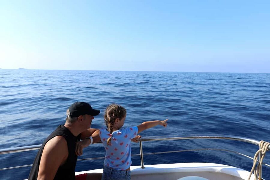 Santa Ponsa: Dolphin Watching Cruise - Who should book this Santa Ponsa cruise?