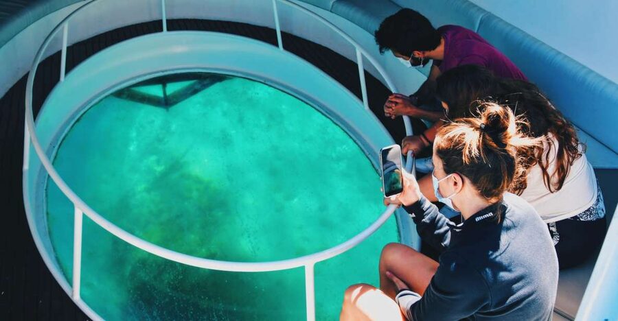São Miguel: Glass Bottom Boat Tour with Snorkeling - At a glance: what makes this boat trip worth considering