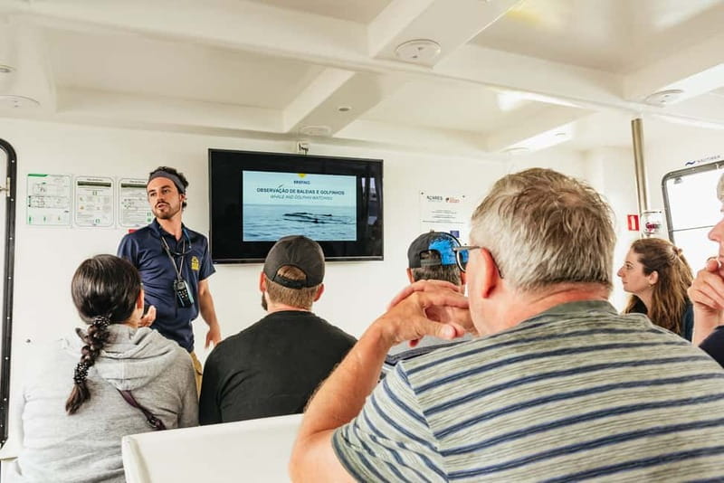 São Miguel: Whale-Watching Cruise with Marine Biologist - Two and a half hours searching the Atlantic