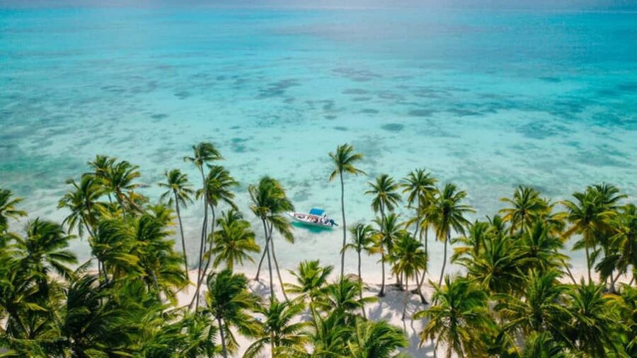 Saona Island: Catamaran/Speedboat Tour to a Dream Beach - Saona Island: Two and a Half Hours on the Beach