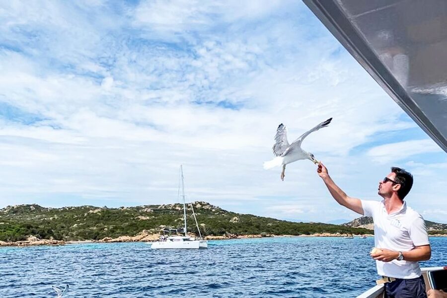 Sardinia: La Maddalena Archipelago Full-Day Trip by Boat - Santa Maria and the natural pools