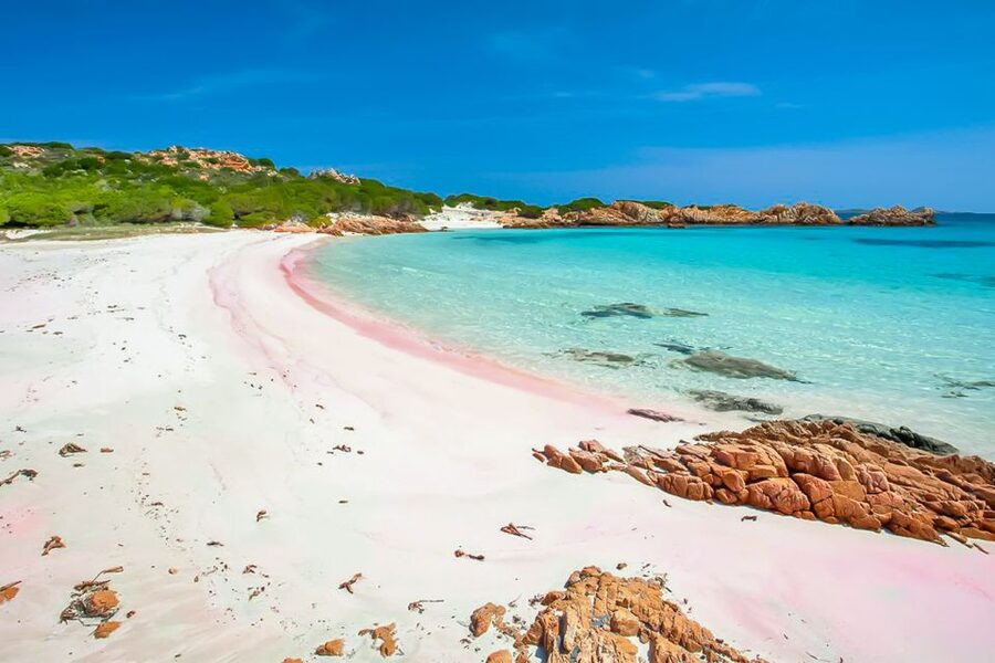 Sardinia: La Maddalena Archipelago Full-Day Trip by Boat - Boarding at Palau or La Maddalena