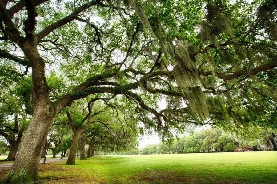 Savannah: Riverboat Cruise & City Tour Combo - The riverboat shifts the story from homes to the working river