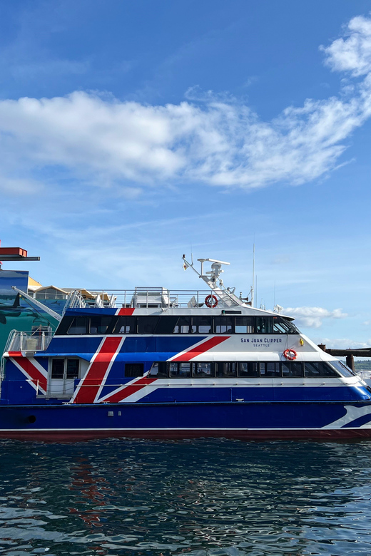 Seattle: Half-Day Wildlife and Whale Watching Cruise - The wildlife you may see