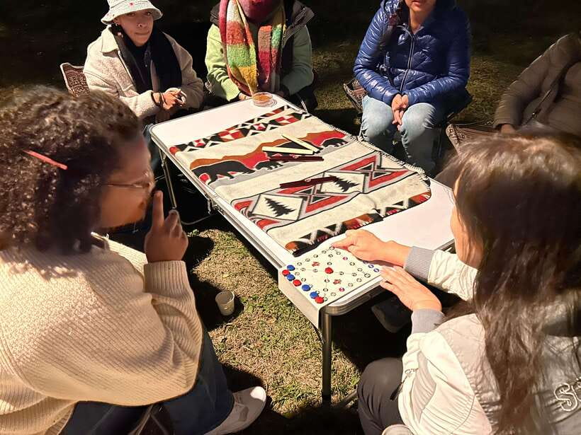 Seoul: Han River Night Picnic & Games with Cruise - Who should book this Han River night?