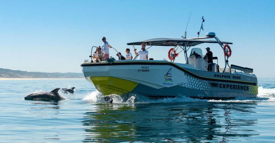 Setúbal: Dolphin Watching Boat Tour - What the dolphin encounter may look like