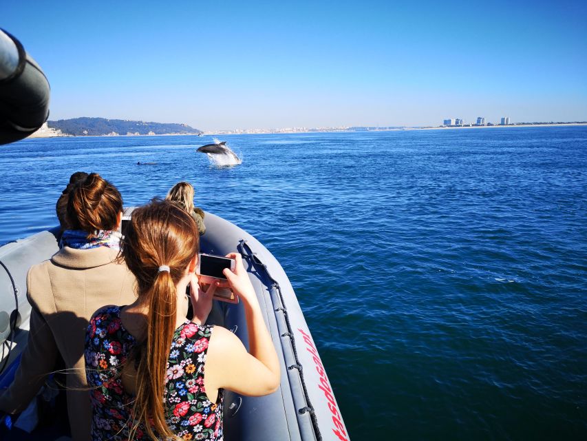 Setúbal: Dolphin Watching Boat Tour - The most praised part: the crew