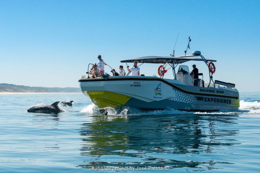 Setúbal: Dolphin Watching Boat Tour - Setting out from Alameda do Zambujeiro