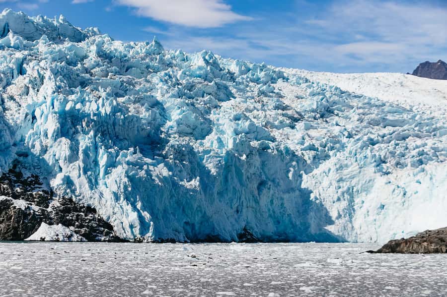 Seward: Kenai Fjords National Park Catamaran Cruise w/Lunch - Key points to know before booking