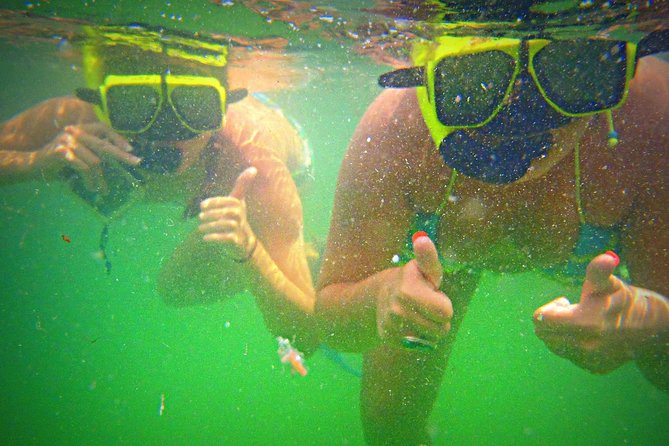 Shell Island Snorkel and Dolphin Catamaran Cruise with Island Time - Music, drinks, and the social side of Island Time