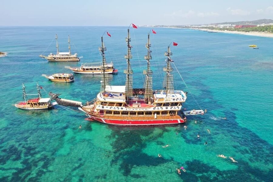 Side: Dolphin Island Boat Tour w/ Lunch & Foam Party - Dolphin Island and the wildlife question