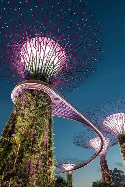 Singapore River Cruise, Garden Rhapsody & Spectra by CYT - Garden Rhapsody beneath the Supertrees