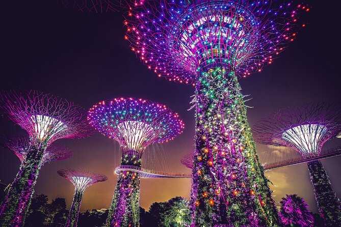 Singapore Starry Night Cruise, Garden Rhapsody & Spectra Show - Merlion Park and Marina Bay photo stops