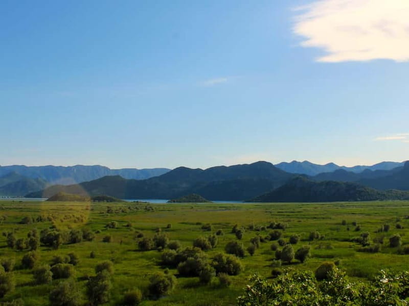 Skadar Lake National Park: Guided Boat Tour to Kom Monastery - A ten-minute swim, if the weather cooperates