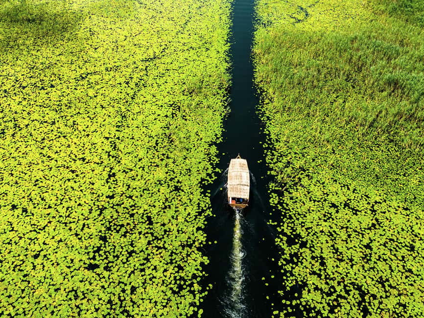 Skadar Lake National Park: Guided Boat Tour with Wooden Boat - Key points before you book