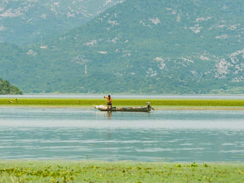 Skadar Lake National Park: Guided Boat Tour with Wooden Boat - What the $26 price really includes