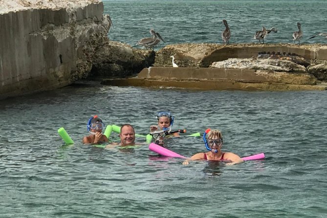 Small Group 2 Hour Dolphin Cruise with Snorkeling to Shell Key - A small boat makes the difference